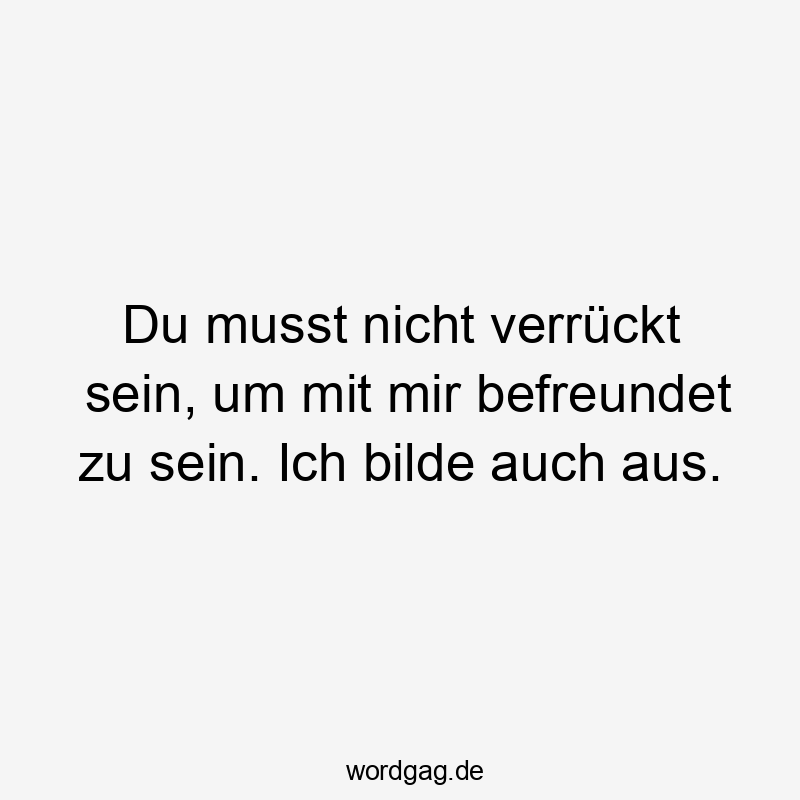Lustige Sprüche: Freundschaft - Du musst nicht verrückt sein, um mit mir befreundet zu sein. Ich bilde auch aus.