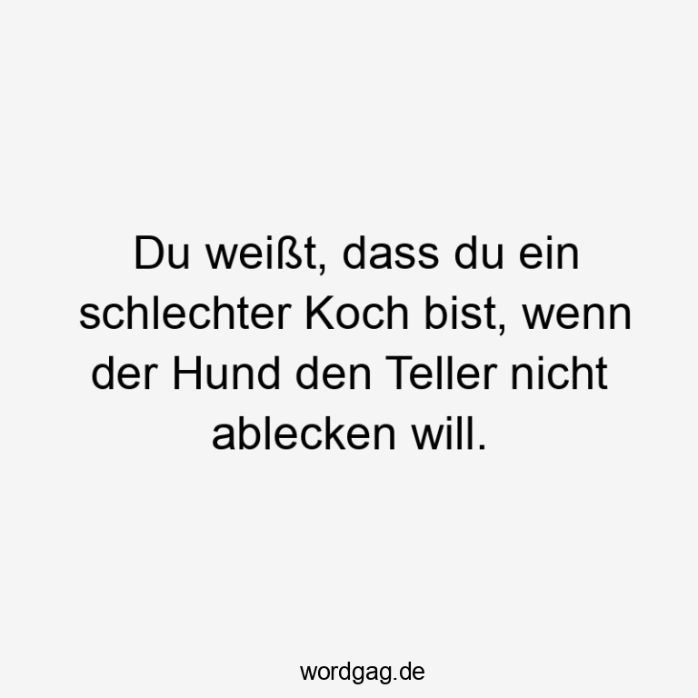 Lustige Kochen Sprüche, die dir in der Küche ein Lächeln aufs Gesicht