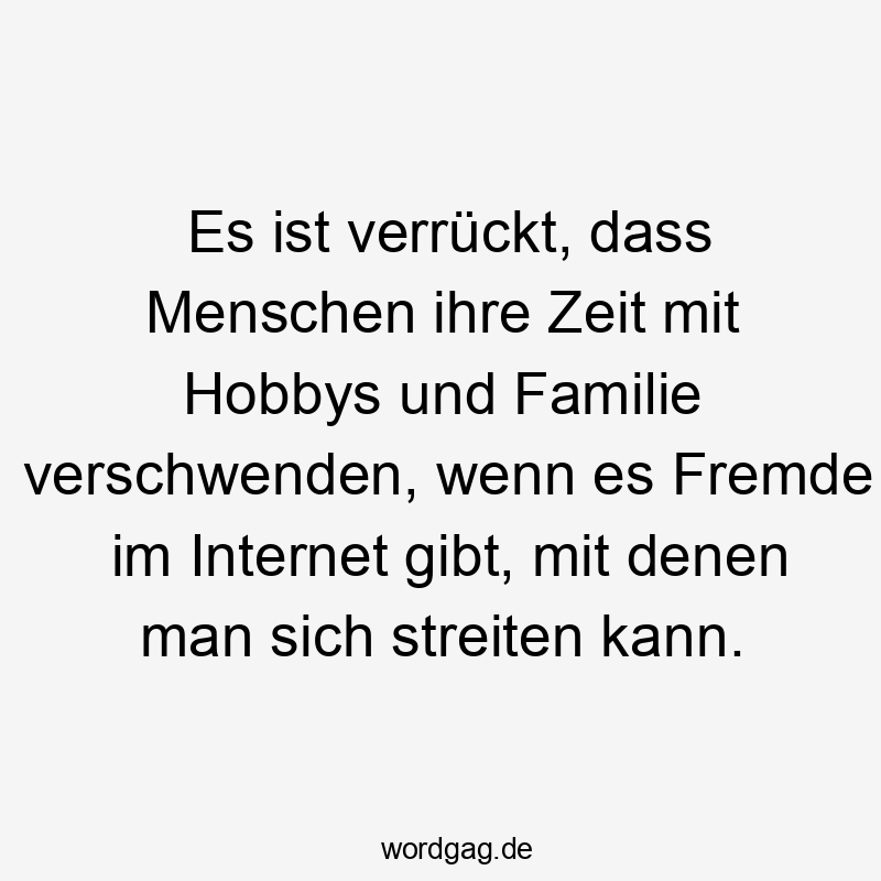 Es ist verrückt, dass Menschen ihre Zeit mit Hobbys und Familie verschwenden, wenn es Fremde im Internet gibt, mit denen man sich streiten kann.