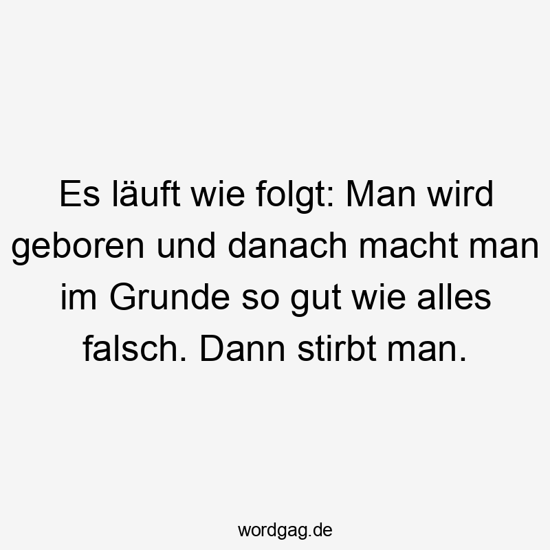 Es läuft wie folgt: Man wird geboren und danach macht man im Grunde so gut wie alles falsch. Dann stirbt man.