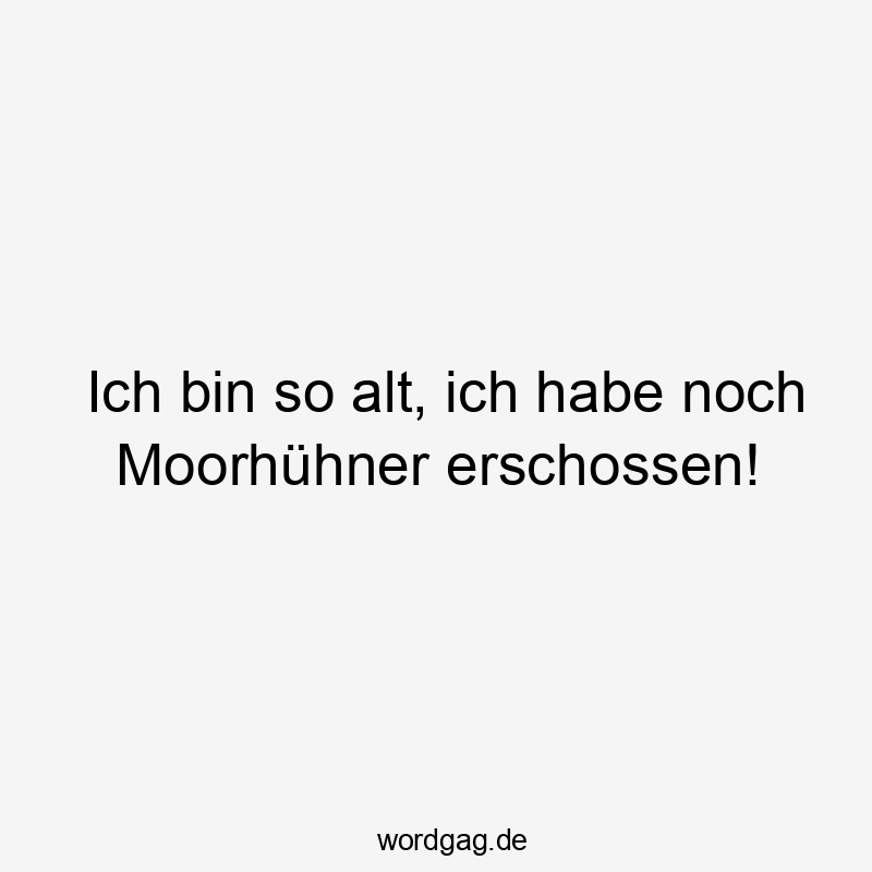 Ich bin so alt, ich habe noch Moorhühner erschossen!