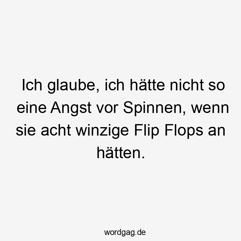 Ich glaube, ich hätte nicht so eine Angst vor Spinnen, wenn sie acht winzige Flip Flops an hätten.