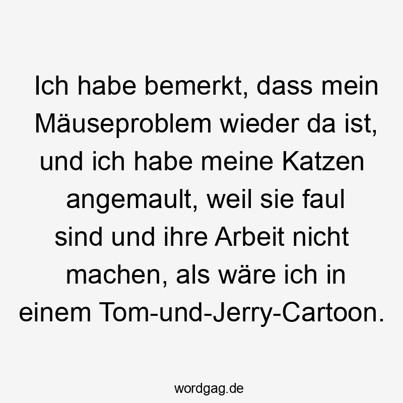 Ich habe bemerkt, dass mein Mäuseproblem wieder da ist, und ich habe meine Katzen angemault, weil sie faul sind und ihre Arbeit nicht machen, als wäre ich in einem Tom-und-Jerry-Cartoon.