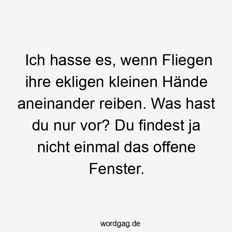 Ich hasse es, wenn Fliegen ihre ekligen kleinen Hände aneinander reiben. Was hast du nur vor? Du findest ja nicht einmal das offene Fenster.