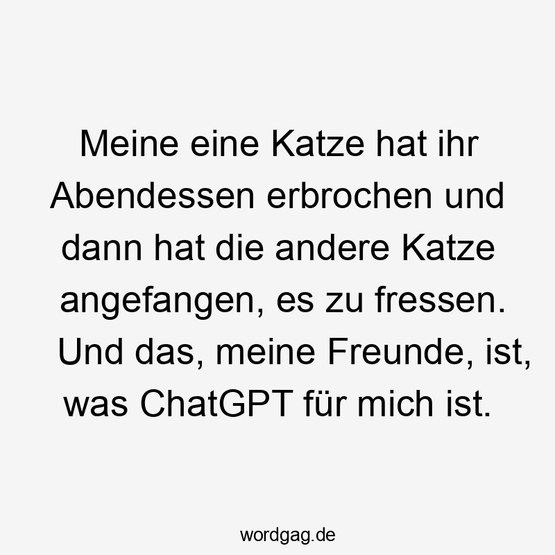 Meine eine Katze hat ihr Abendessen erbrochen und dann hat die andere Katze angefangen, es zu fressen. Und das, meine Freunde, ist, was ChatGPT für mich ist.