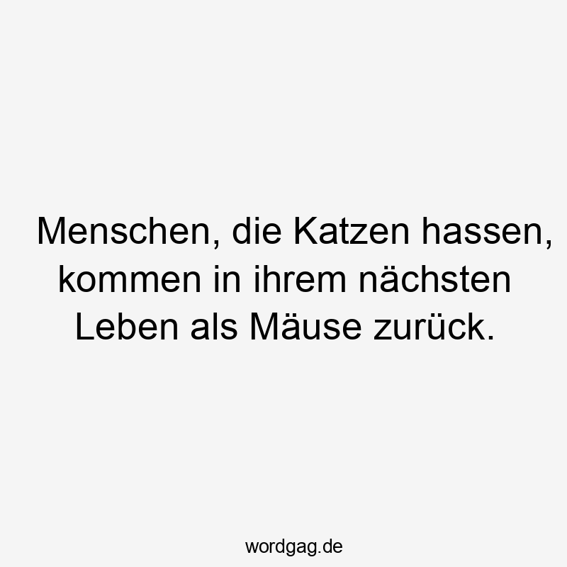 Menschen, die Katzen hassen, kommen in ihrem nächsten Leben als Mäuse zurück.