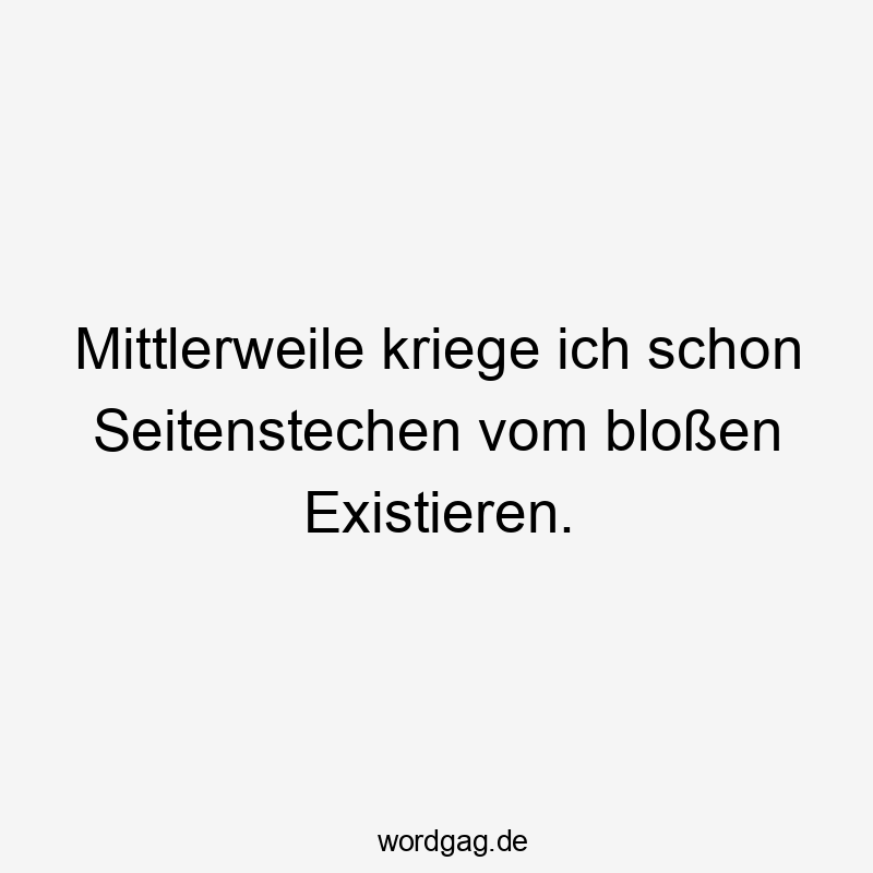 Lustige existieren Sprüche - Mittlerweile kriege ich schon Seitenstechen vom bloßen Existieren.