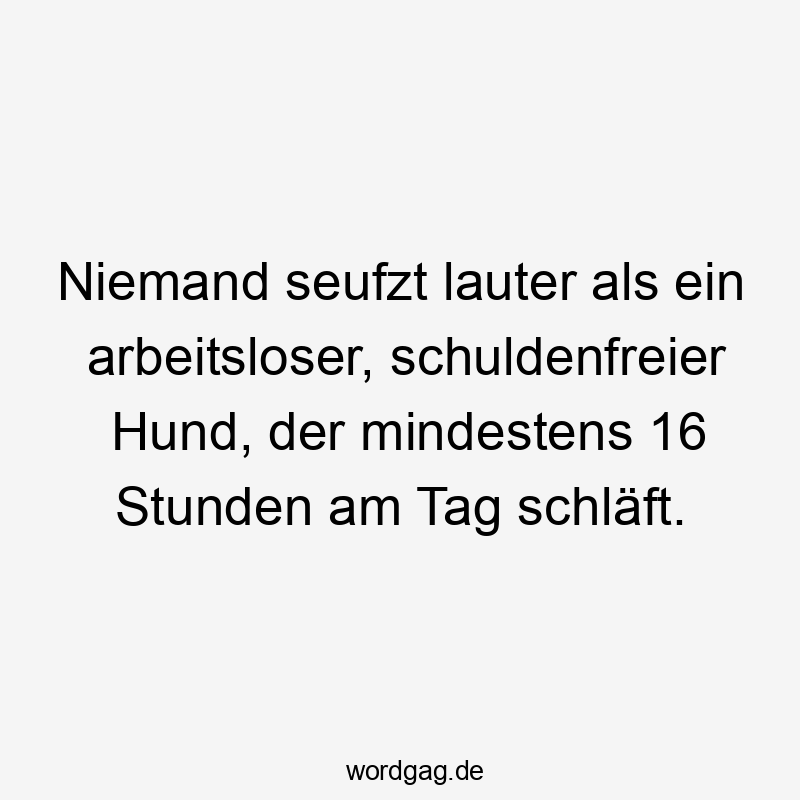 Niemand seufzt lauter als ein arbeitsloser, schuldenfreier Hund, der mindestens 16 Stunden am Tag schläft.