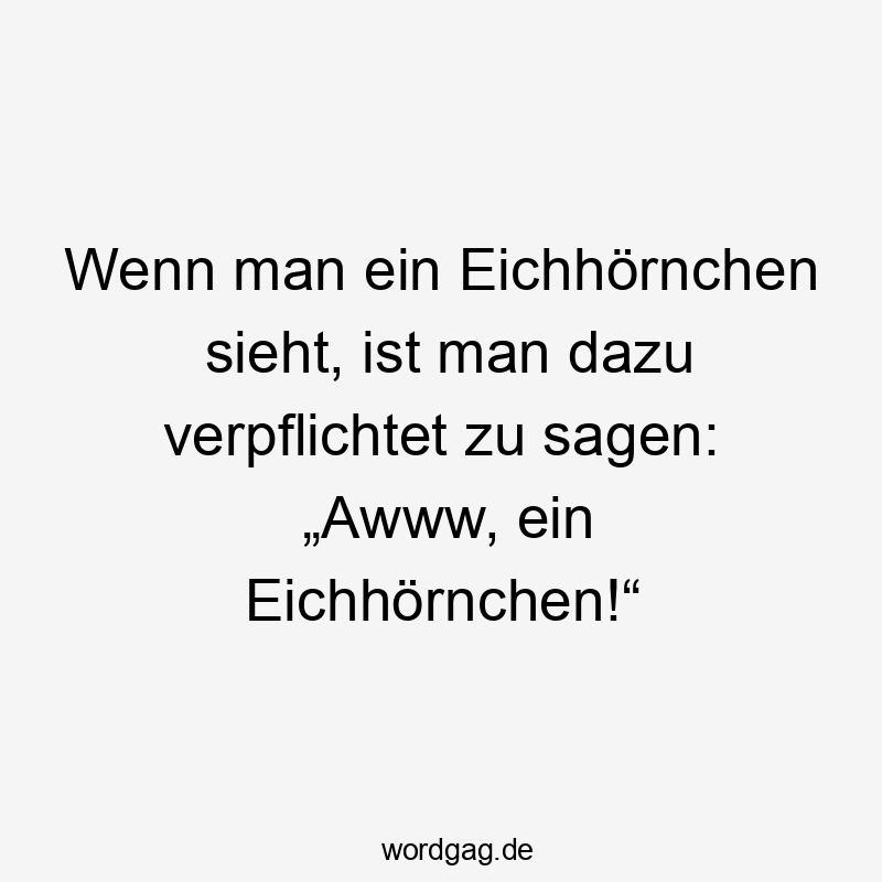 Lustige Sprüche: Natur - Wenn man ein Eichhörnchen sieht, ist man dazu verpflichtet zu sagen: „Awww, ein Eichhörnchen!“