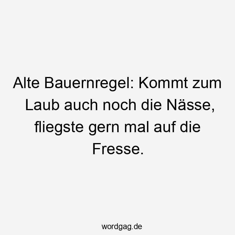Alte Bauernregel: Kommt zum Laub auch noch die Nässe, fliegste gern mal auf die Fresse.