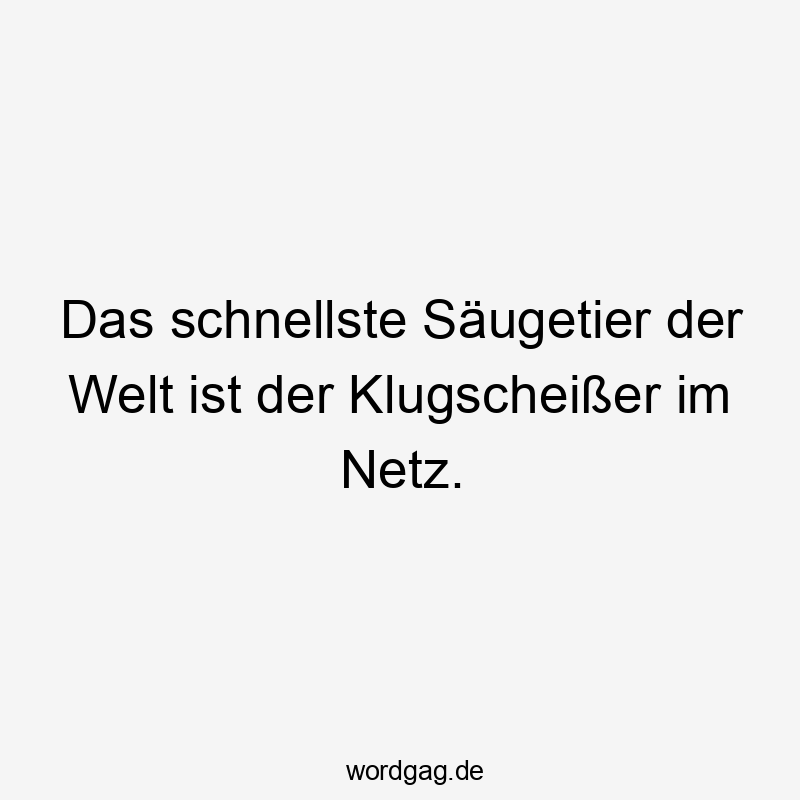 Lustige Sprüche: Welt - Das schnellste Säugetier der Welt ist der Klugscheißer im Netz.