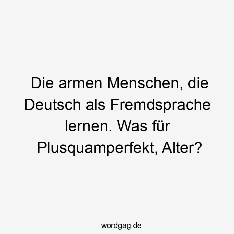 Die armen Menschen, die Deutsch als Fremdsprache lernen. Was für Plusquamperfekt, Alter?