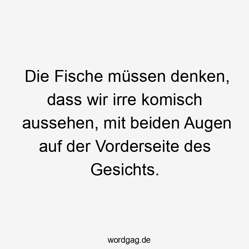 Die Fische müssen denken, dass wir irre komisch aussehen, mit beiden Augen auf der Vorderseite des Gesichts.