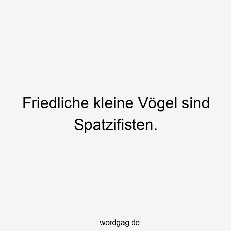 Friedliche kleine Vögel sind Spatzifisten.