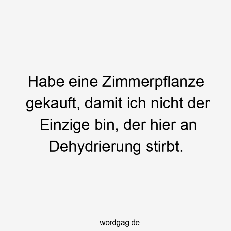 Lustige Zimmerpflanze Sprüche - Habe eine Zimmerpflanze gekauft, damit ich nicht der Einzige bin, der hier an Dehydrierung stirbt.