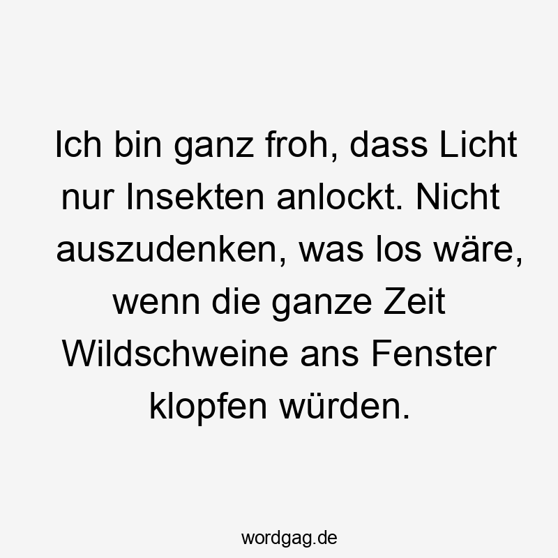 Ich bin ganz froh, dass Licht nur Insekten anlockt. Nicht auszudenken, was los wäre, wenn die ganze Zeit Wildschweine ans Fenster klopfen würden.