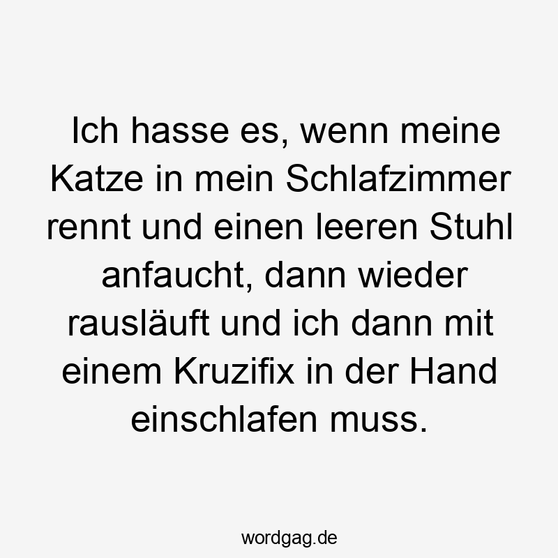 Ich hasse es, wenn meine Katze in mein Schlafzimmer rennt und einen leeren Stuhl anfaucht, dann wieder rausläuft und ich dann mit einem Kruzifix in der Hand einschlafen muss.