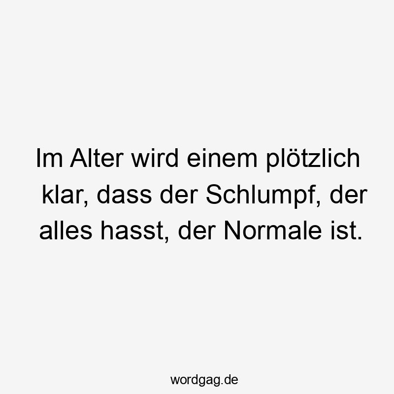 Im Alter wird einem plötzlich klar, dass der Schlumpf, der alles hasst, der Normale ist.