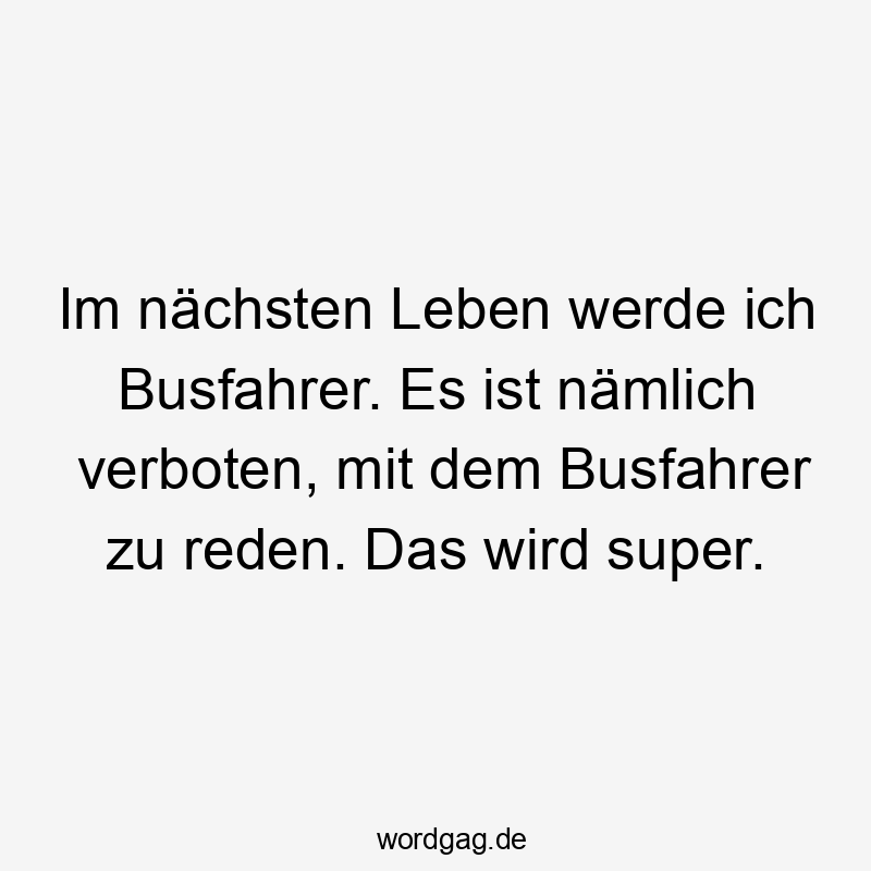 Im nächsten Leben werde ich Busfahrer. Es ist nämlich verboten, mit dem Busfahrer zu reden. Das wird super.