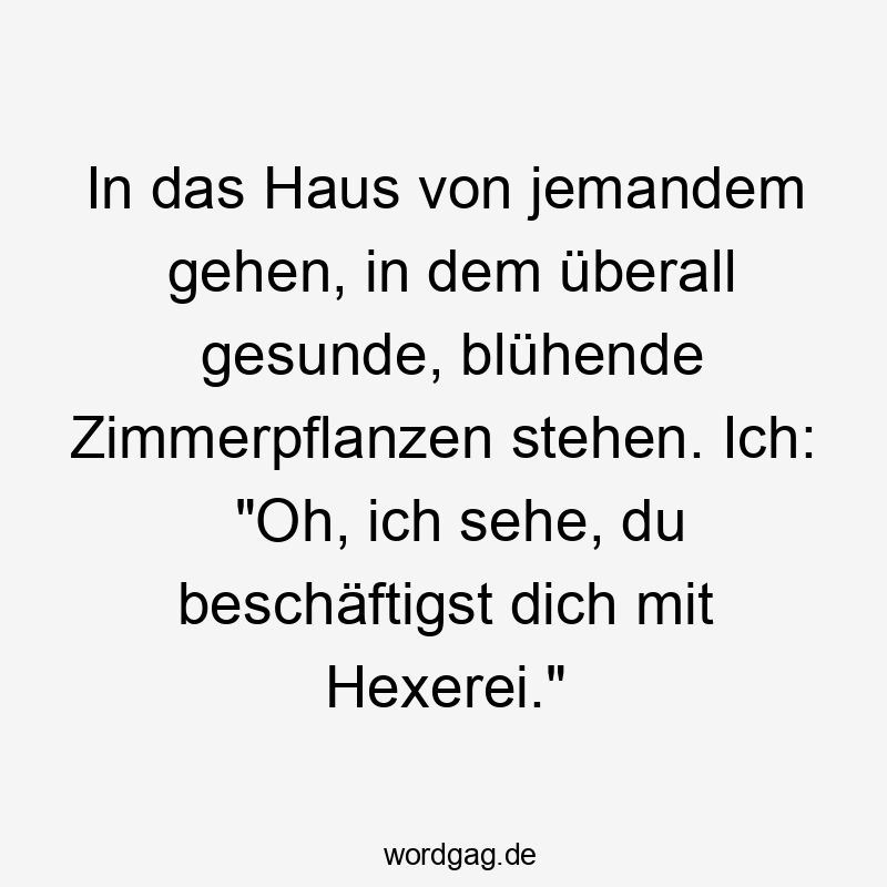 In das Haus von jemandem gehen, in dem überall gesunde, blühende Zimmerpflanzen stehen. Ich: „Oh, ich sehe, du beschäftigst dich mit Hexerei.“