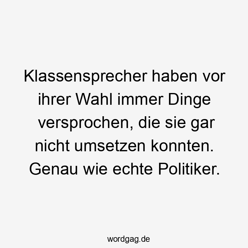 Klassensprecher haben vor ihrer Wahl immer Dinge versprochen, die sie gar nicht umsetzen konnten. Genau wie echte Politiker.