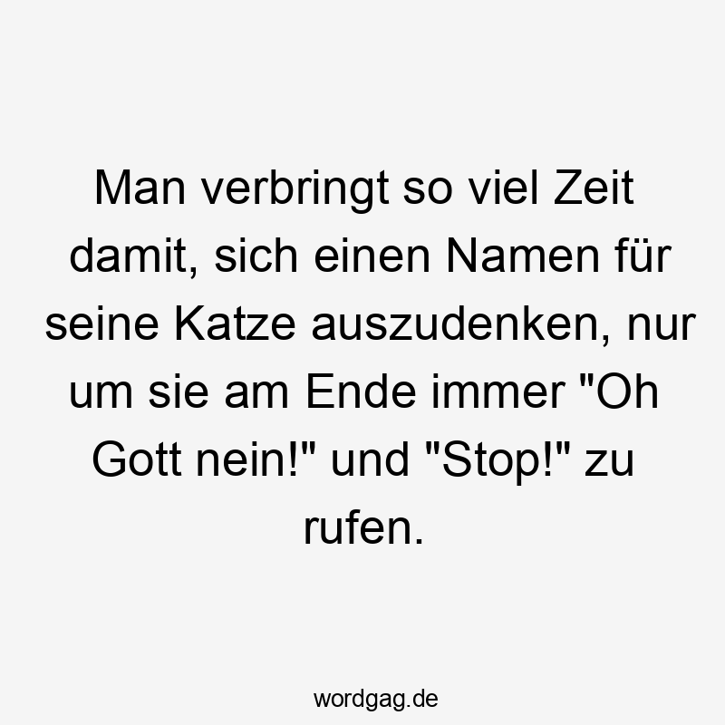 Man verbringt so viel Zeit damit, sich einen Namen für seine Katze auszudenken, nur um sie am Ende immer „Oh Gott nein!“ und „Stop!“ zu rufen.