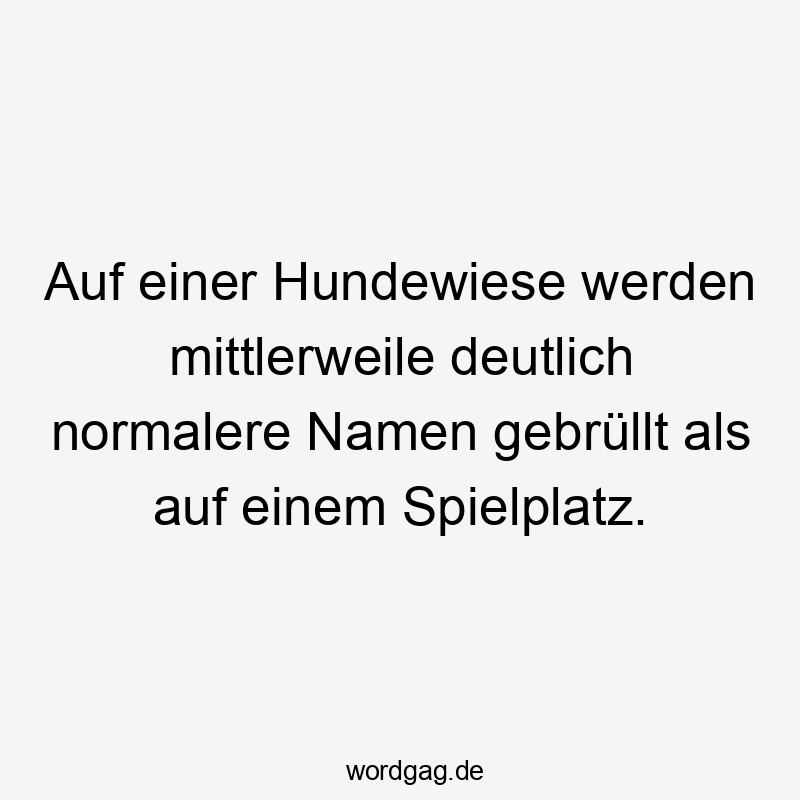 Auf einer Hundewiese werden mittlerweile deutlich normalere Namen gebrüllt als auf einem Spielplatz.