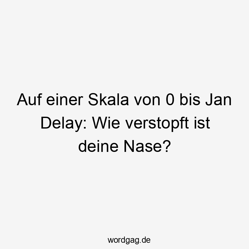 Lustige Sprüche: Nase - Auf einer Skala von 0 bis Jan Delay: Wie verstopft ist deine Nase?