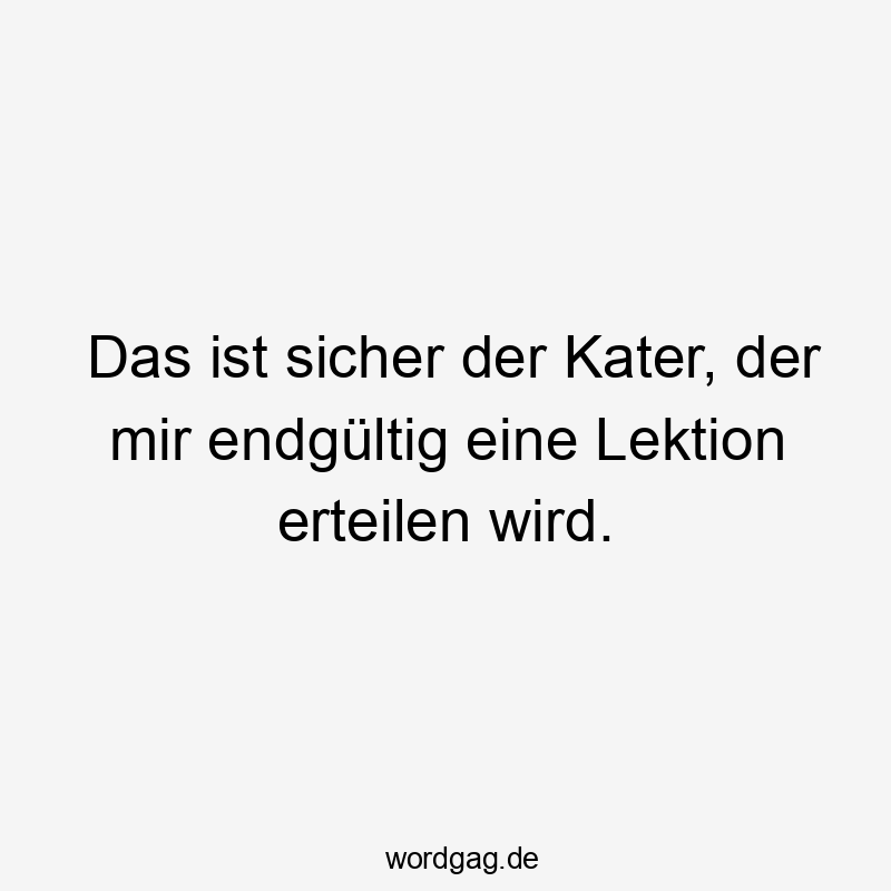 Lustige Lektion Sprüche - Das ist sicher der Kater, der mir endgültig eine Lektion erteilen wird.