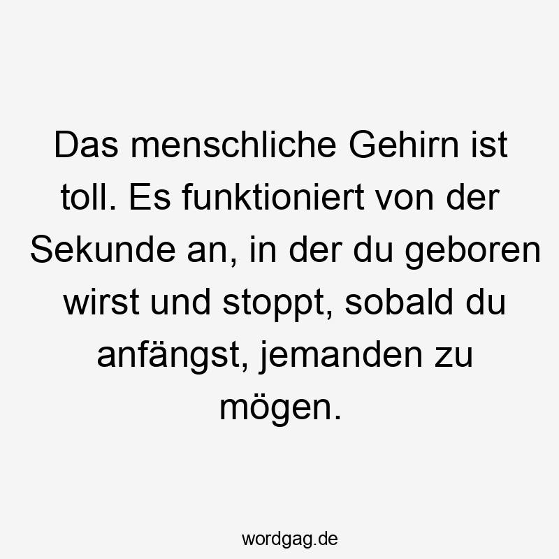 Das menschliche Gehirn ist toll. Es funktioniert von der Sekunde an, in der du geboren wirst und stoppt, sobald du anfängst, jemanden zu mögen.