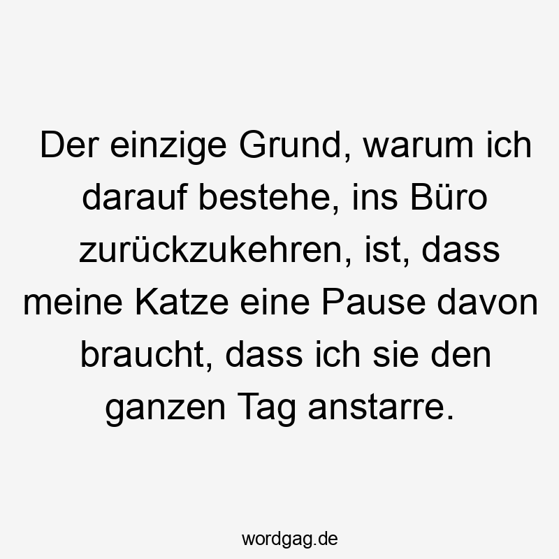 Der einzige Grund, warum ich darauf bestehe, ins Büro zurückzukehren, ist, dass meine Katze eine Pause davon braucht, dass ich sie den ganzen Tag anstarre.