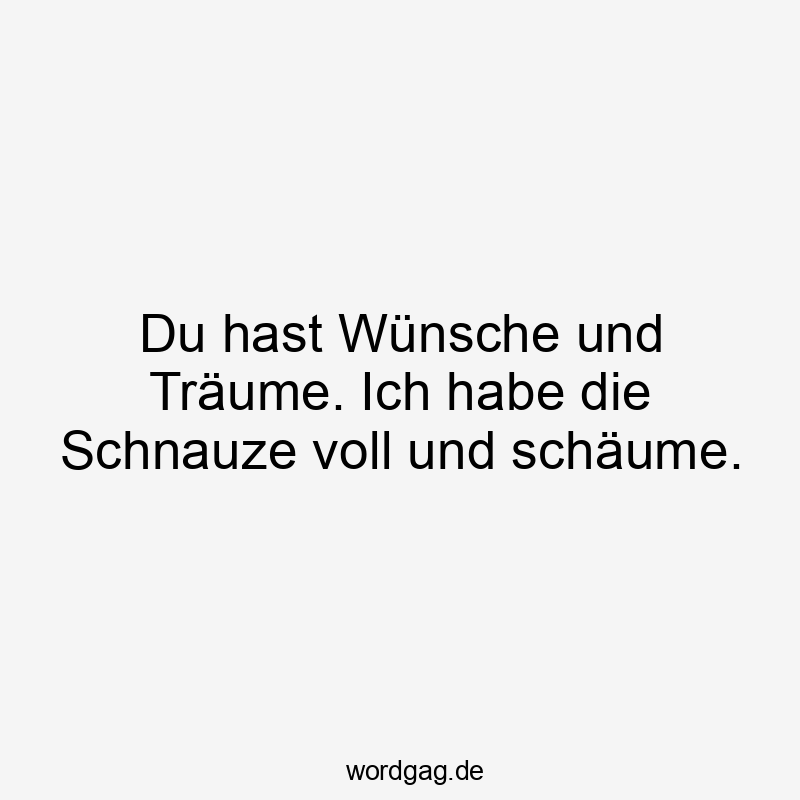 Du hast Wünsche und Träume. Ich habe die Schnauze voll und schäume.