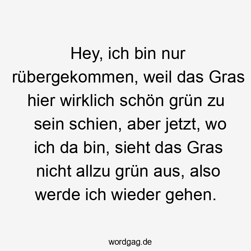 Hey, ich bin nur rübergekommen, weil das Gras hier wirklich schön grün zu sein schien, aber jetzt, wo ich da bin, sieht das Gras nicht allzu grün aus, also werde ich wieder gehen.