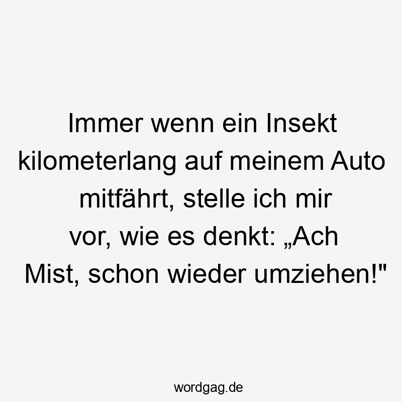 Immer wenn ein Insekt kilometerlang auf meinem Auto mitfährt, stelle ich mir vor, wie es denkt: „Ach Mist, schon wieder umziehen!“