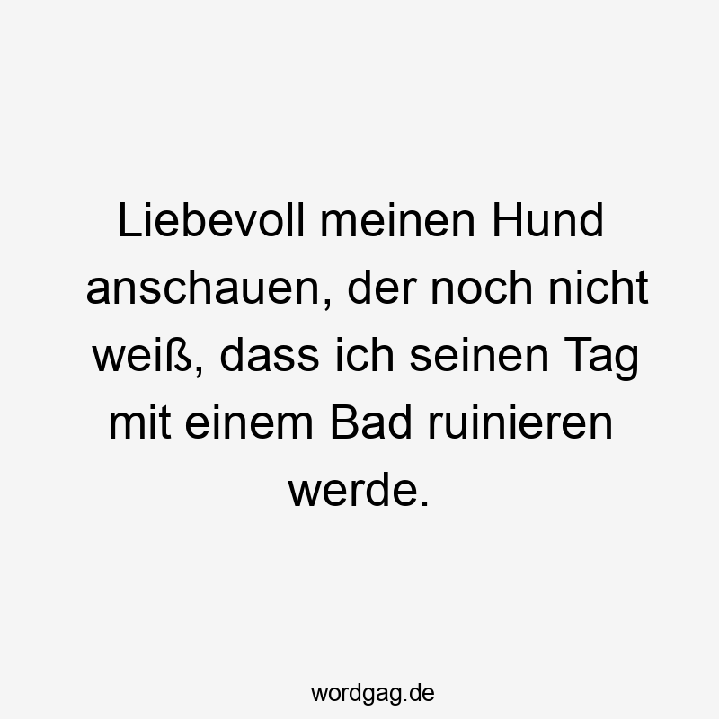 Witziger Spruch über Hundeliebe und humorvolle Alltagssituationen.