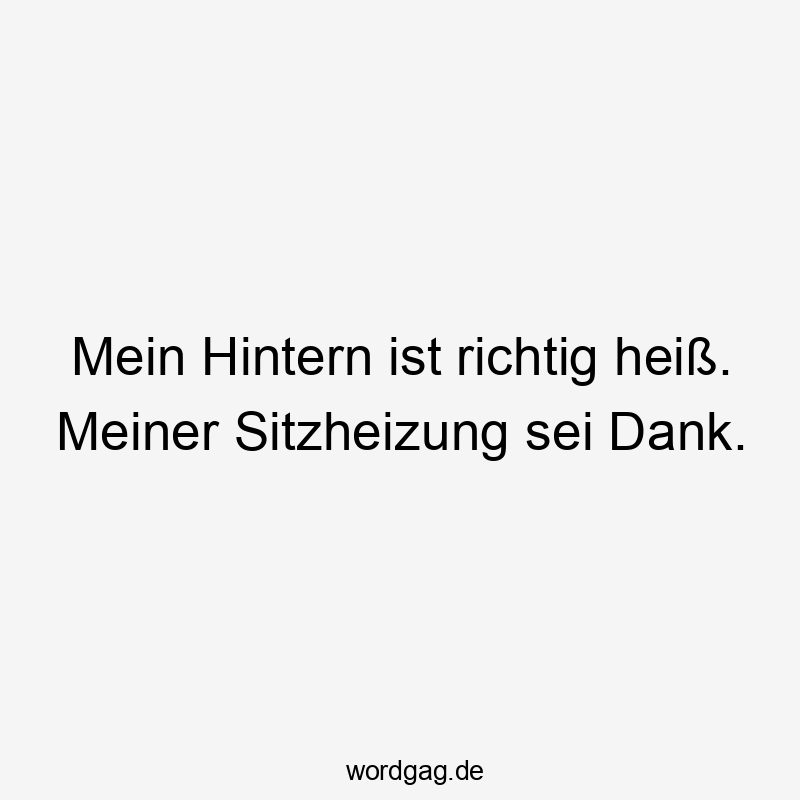 Lustige Sprüche: richtig - Mein Hintern ist richtig heiß. Meiner Sitzheizung sei Dank.