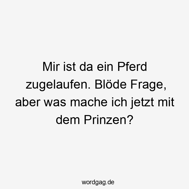 Mir ist da ein Pferd zugelaufen. Blöde Frage, aber was mache ich jetzt mit dem Prinzen?