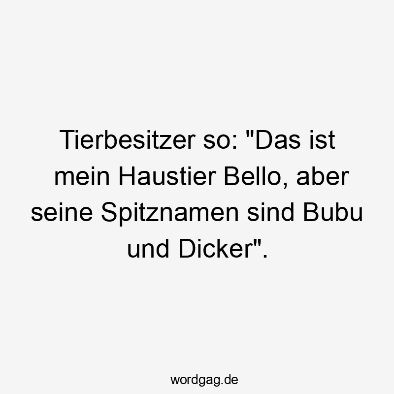 Tierbesitzer so: „Das ist mein Haustier Bello, aber seine Spitznamen sind Bubu und Dicker“.