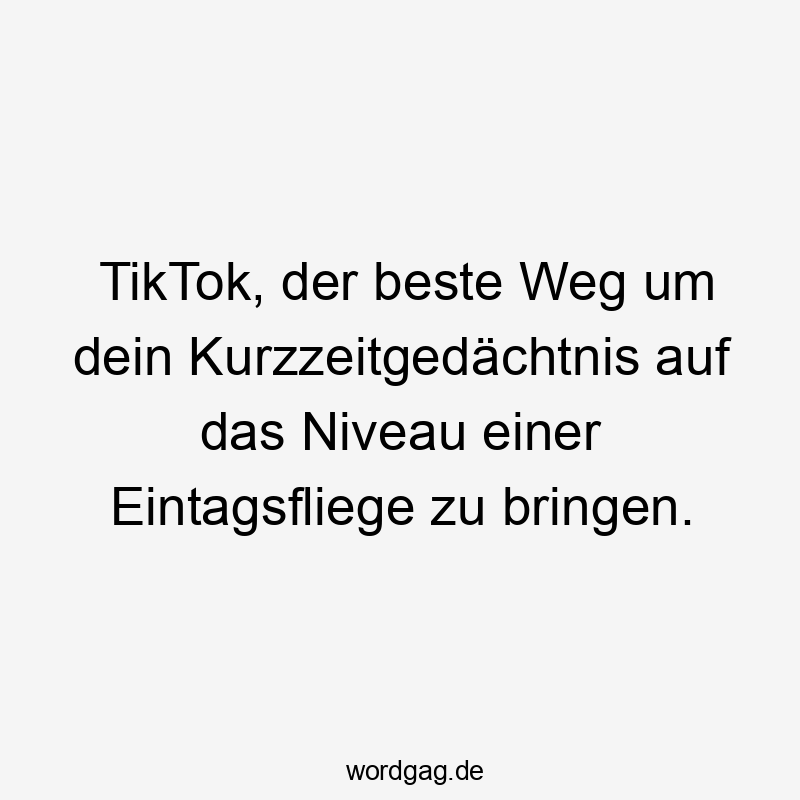 TikTok, der beste Weg um dein Kurzzeitgedächtnis auf das Niveau einer Eintagsfliege zu bringen.