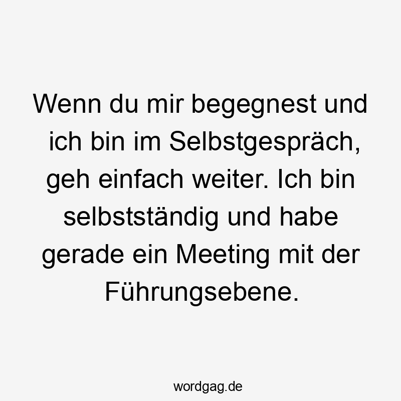 Wenn du mir begegnest und ich bin im Selbstgespräch, geh einfach weiter. Ich bin selbständig und habe gerade ein Meeting mit der Führungsebene.