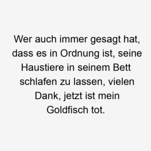 Wer auch immer gesagt hat, dass es in Ordnung ist, seine Haustiere in seinem Bett schlafen zu lassen, vielen Dank, jetzt ist mein Goldfisch tot.