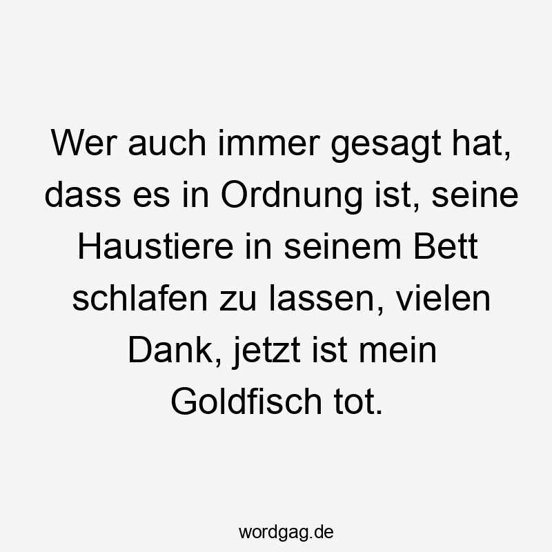 Lustige Sprüche: Bett - Wer auch immer gesagt hat, dass es in Ordnung ist, seine Haustiere in seinem Bett schlafen zu lassen, vielen Dank, jetzt ist mein Goldfisch tot.