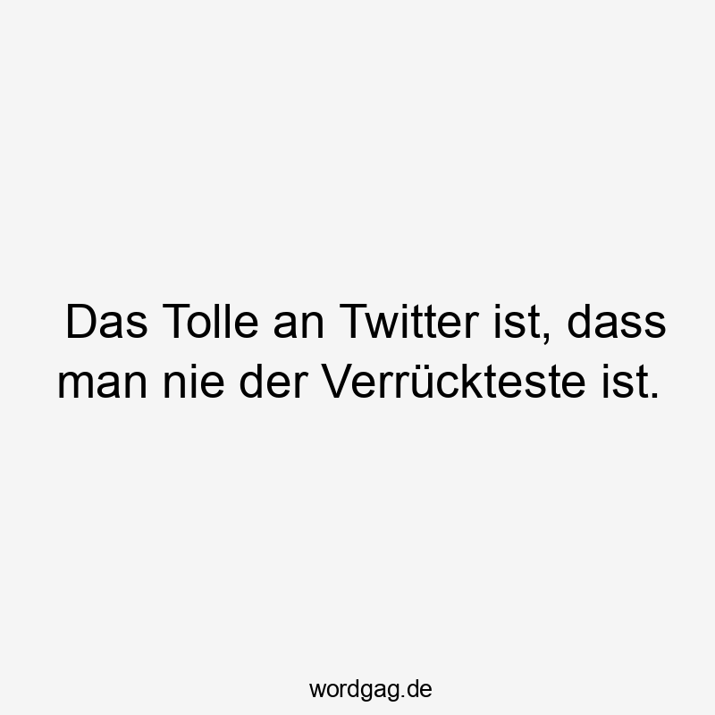 Lustige Sprüche: Twitter - Das Tolle an Twitter ist, dass man nie der Verrückteste ist.
