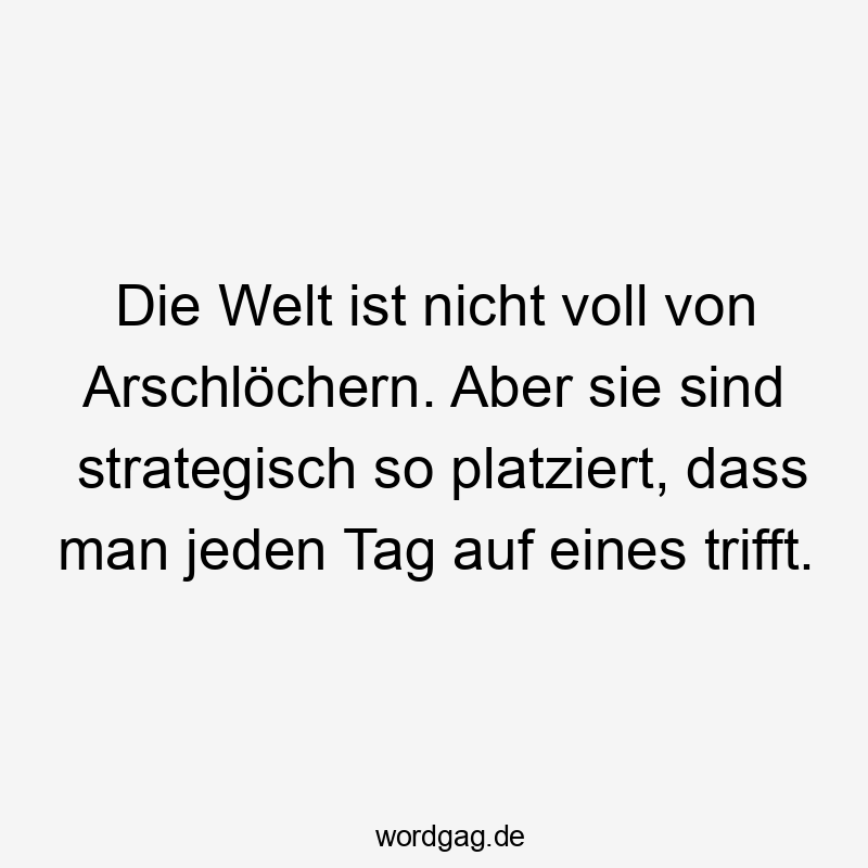 Lustige Sprüche: Welt - Die Welt ist nicht voll von Arschlöchern. Aber sie sind strategisch so platziert, dass man jeden Tag auf eines trifft.