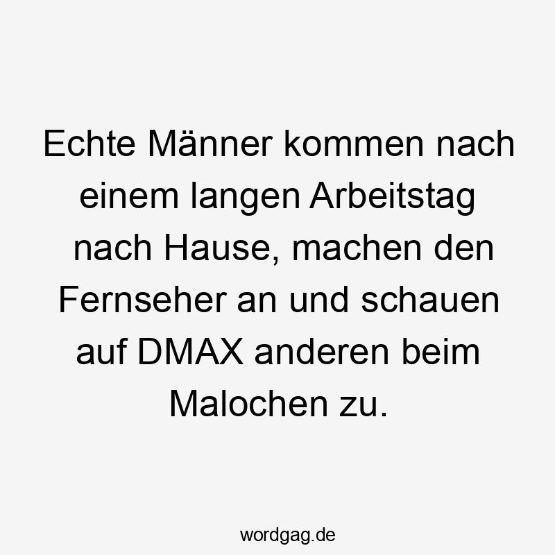 Lustige Sprüche: Männer - Echte Männer kommen nach einem langen Arbeitstag nach Hause, machen den Fernseher an und schauen auf DMAX anderen beim Malochen zu.