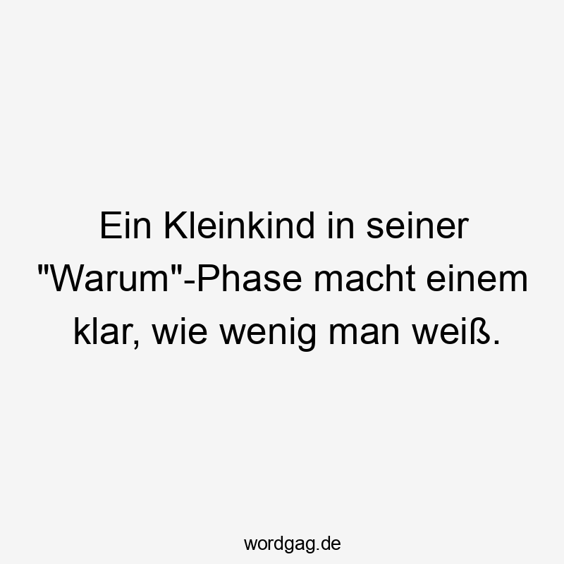 Lustige Sprüche: Fragen - Ein Kleinkind in seiner „Warum“-Phase macht einem klar, wie wenig man weiß.
