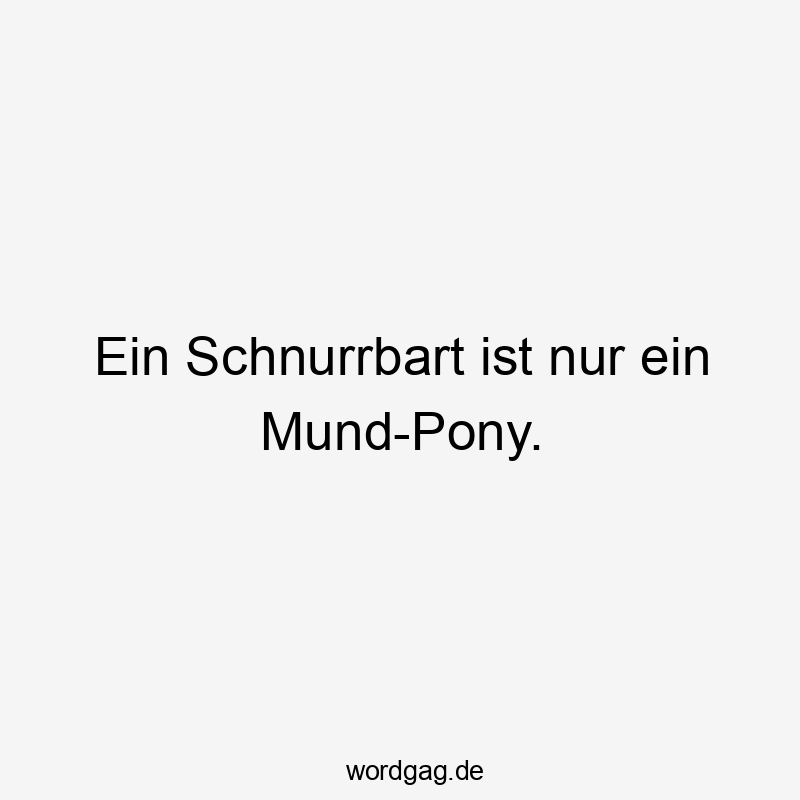 Ein Schnurrbart ist nur ein Mund-Pony.