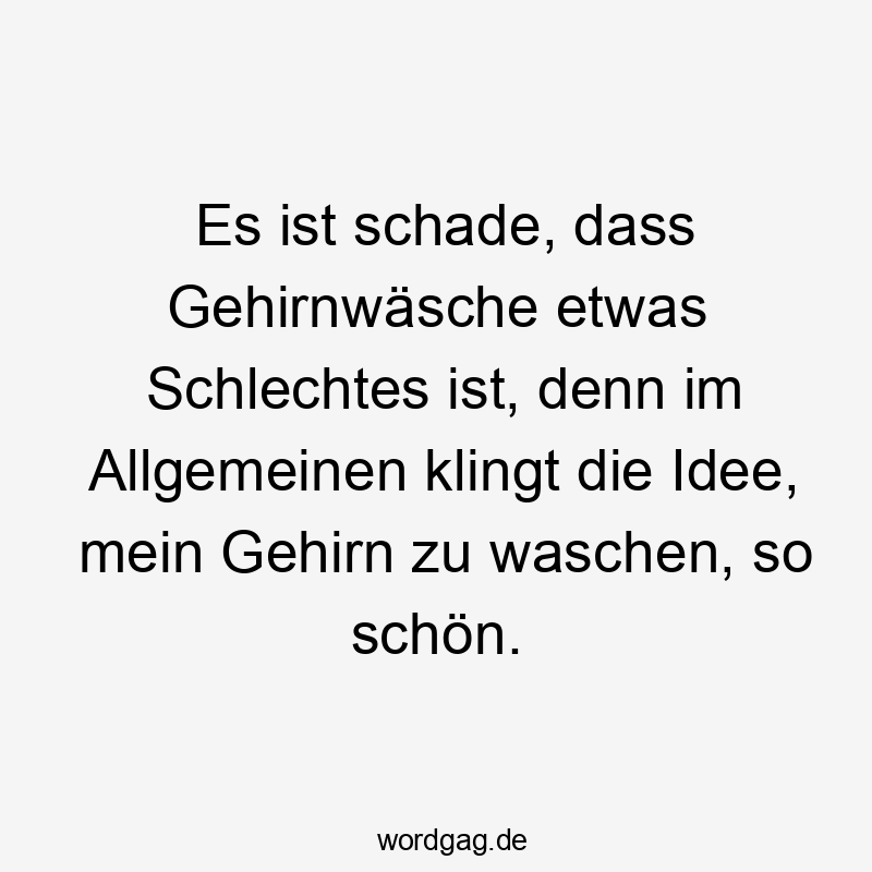 Es ist schade, dass Gehirnwäsche etwas Schlechtes ist, denn im Allgemeinen klingt die Idee, mein Gehirn zu waschen, so schön.