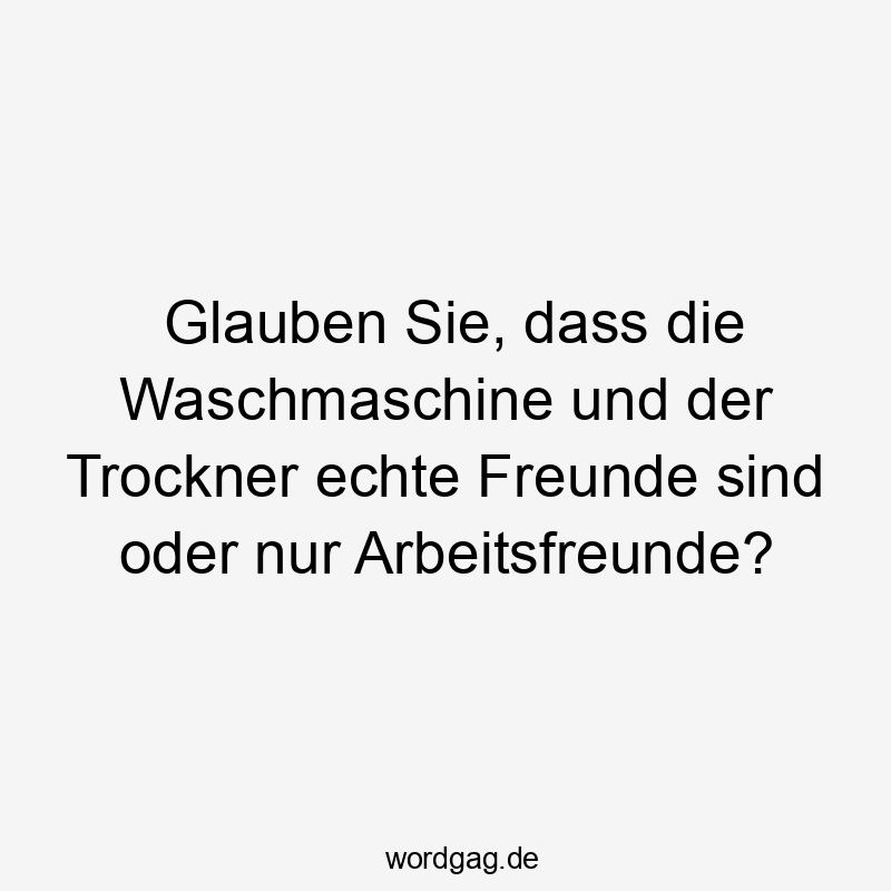 Lustige Sprüche: Witz - Glauben Sie, dass die Waschmaschine und der Trockner echte Freunde sind oder nur Arbeitsfreunde?