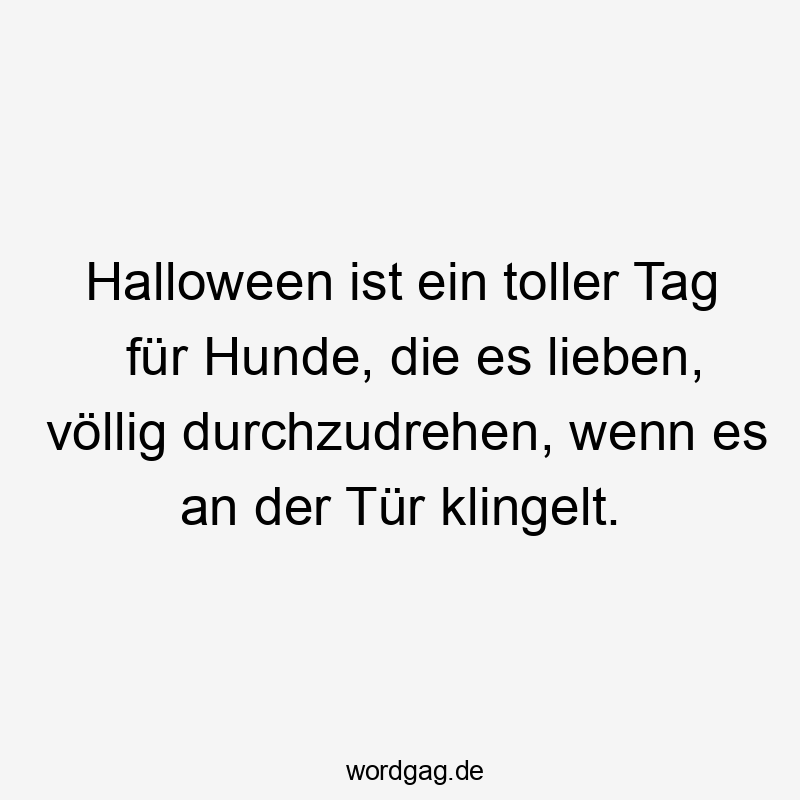 Halloween ist ein toller Tag fĂŒr Hunde, die es lieben, völlig durchzudrehen, wenn es an der TĂŒr klingelt.